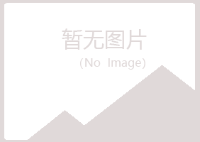 青岛崂山无果金融有限公司